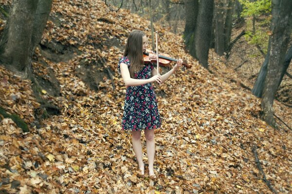 Herbstmusik von einem Mädchen mit einer Geige