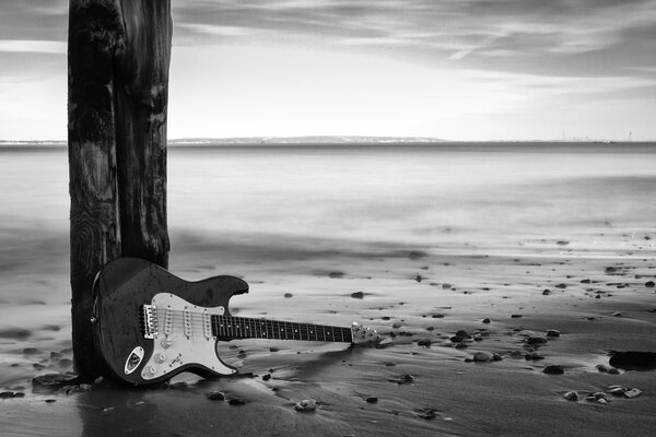 Chitarra elettrica effetto bianco e nero