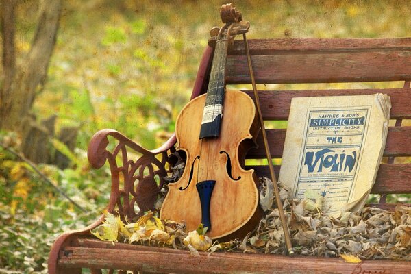 Violin on the bench, musical texture