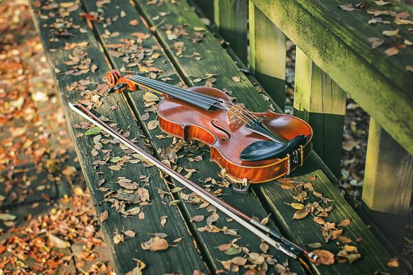 Musique de violon sur le banc d automne