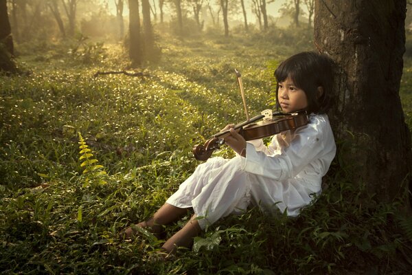 Musica della foresta suonata sul violino