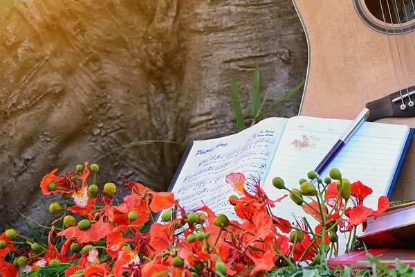 Cahier de musique en couleurs avec guitare