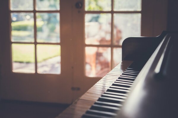 Beautiful photo of piano keys