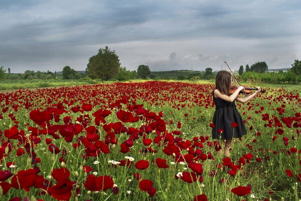 Chica con violín en amapolas