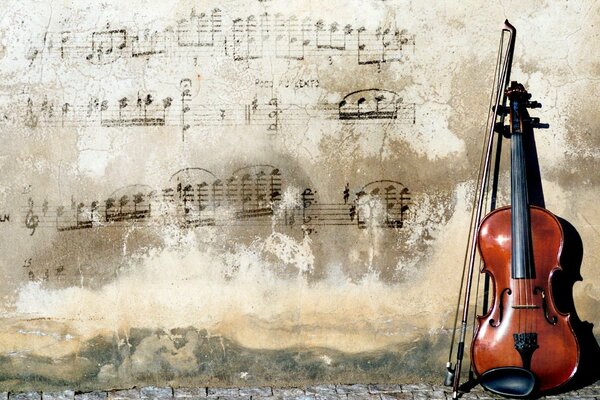 Violino vicino al muro con note