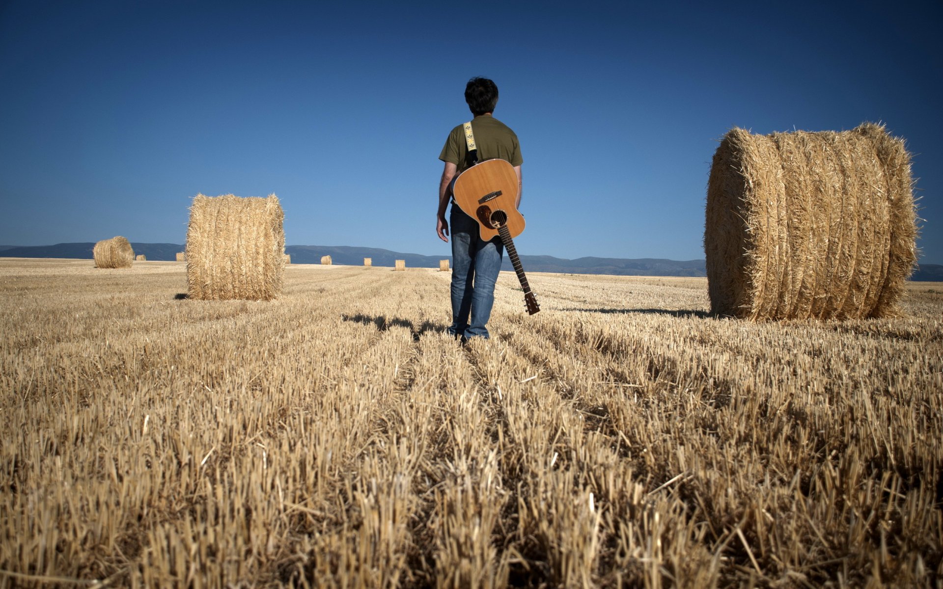 homme champ guitare musique