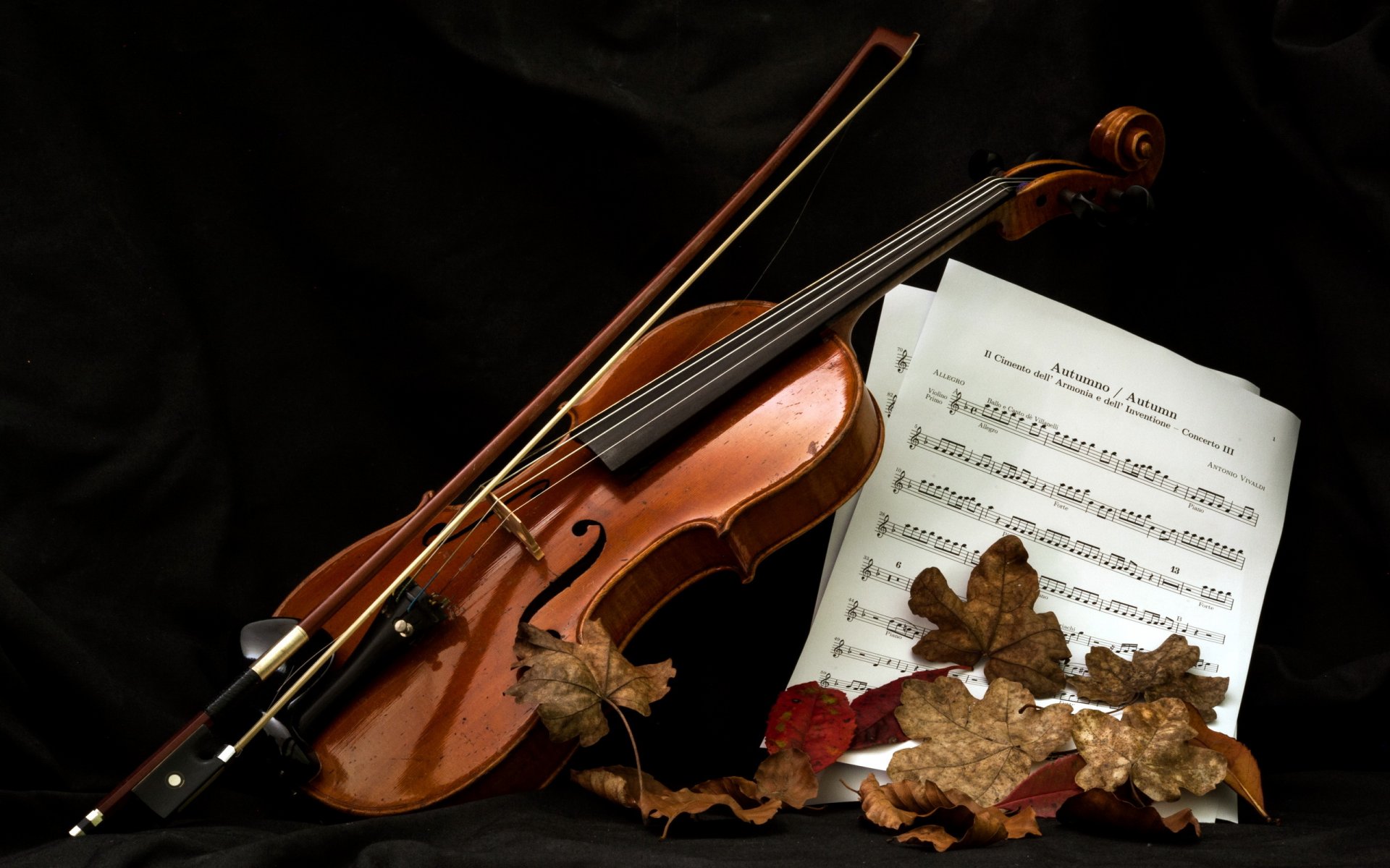 violon notes musique