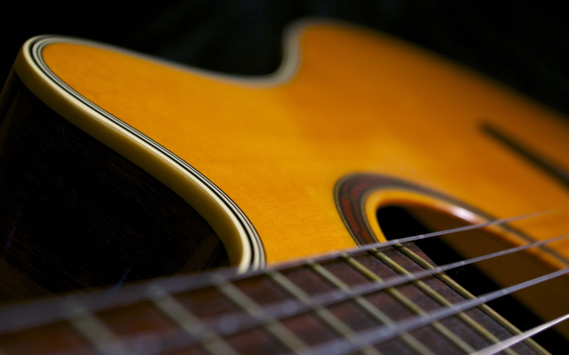 guitarra macro