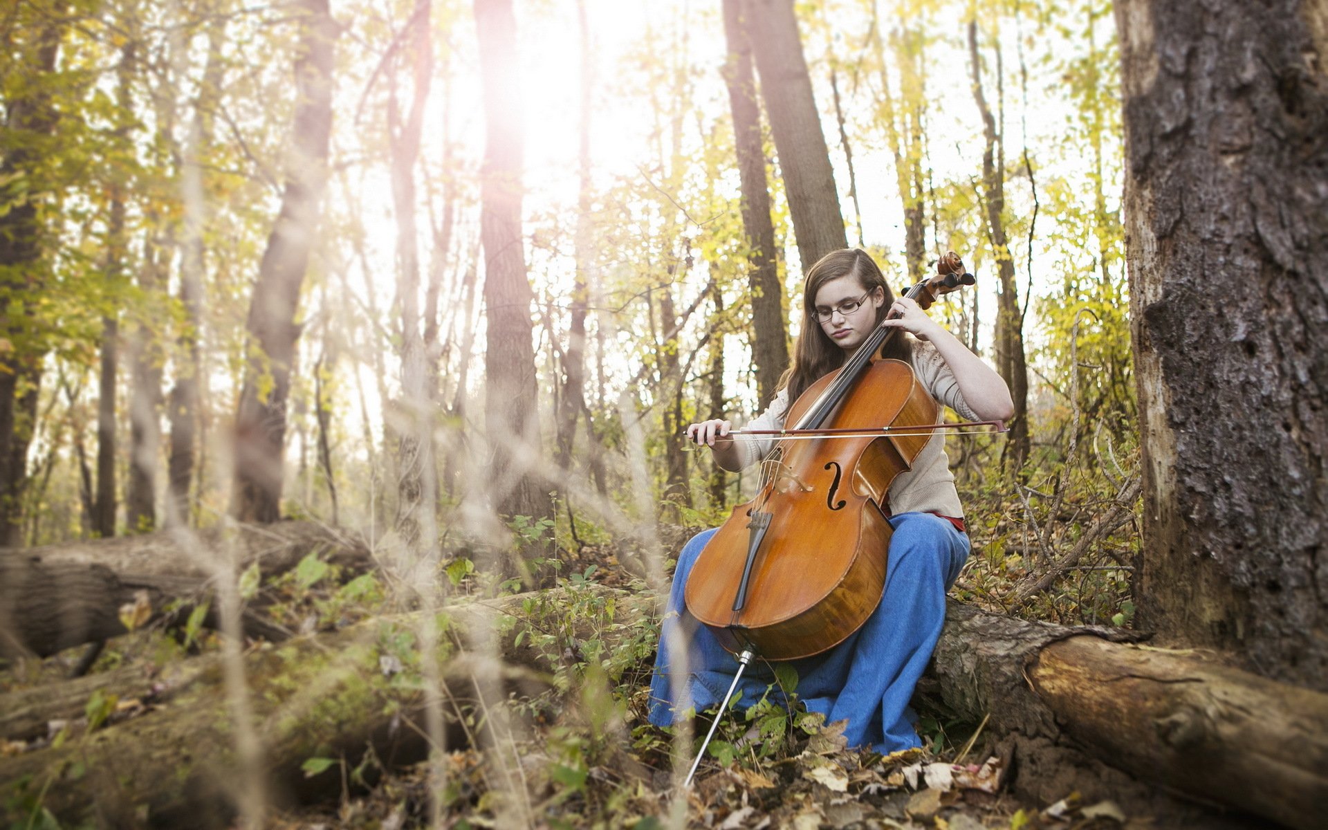 cello autumn fall