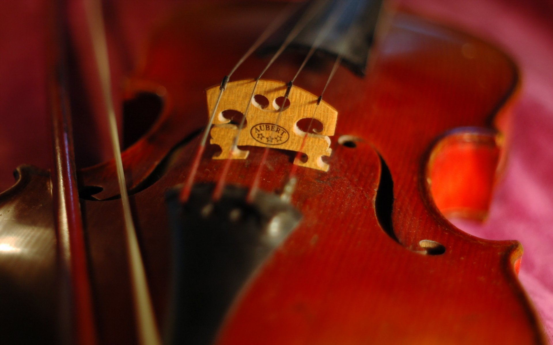 violino macro musica