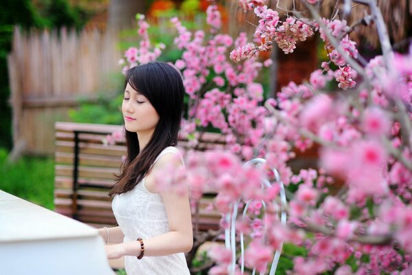 Fille jouant du piano à côté de Sakura