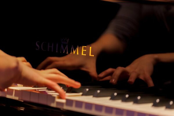 Mani del pianista sui tasti del pianoforte a coda