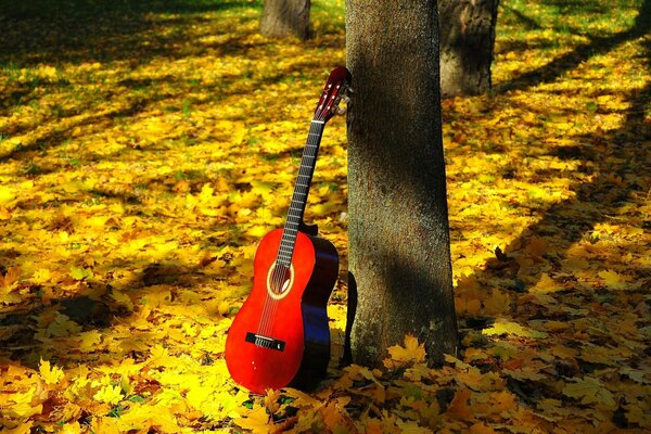 Rote Gitarre auf dem Boden im Herbstpark