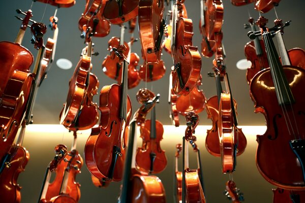 Background of lacquered and shiny violins