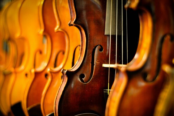 En ce qui concerne les violons dans une rangée. Musique magnifique