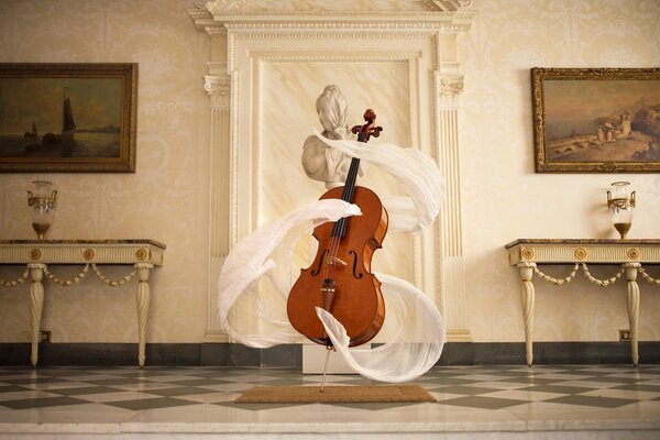 Cello and statue of a woman with a white train