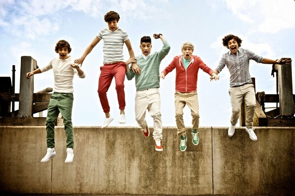 Guys from 1d jump off a cliff together