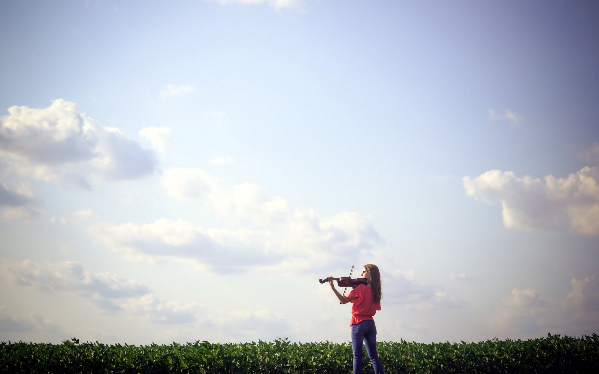 musica ragazza violino campo