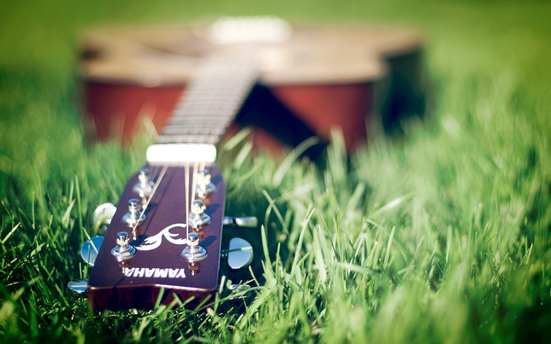 guitars grass music