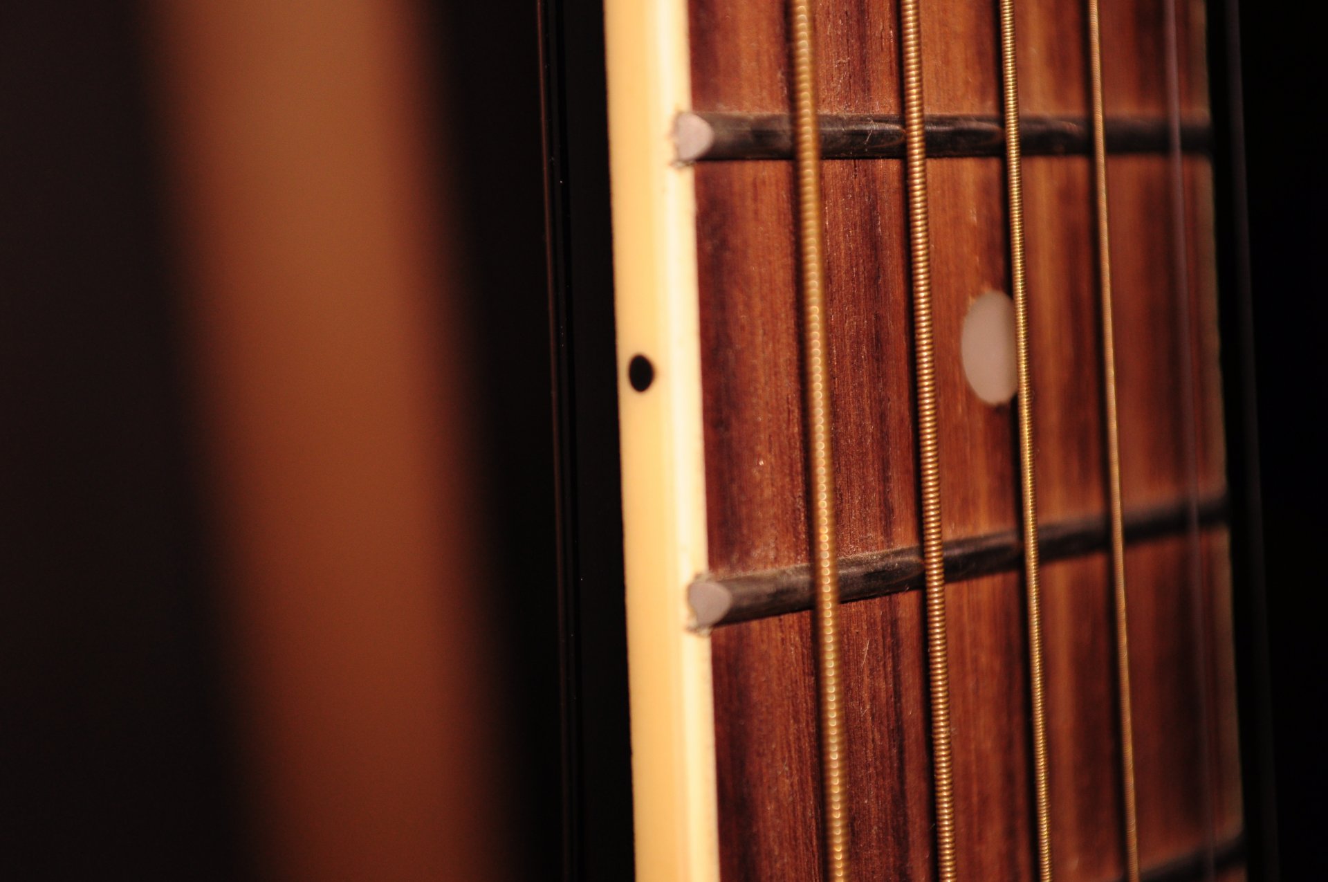 guitarra cuerdas diapasón música macro