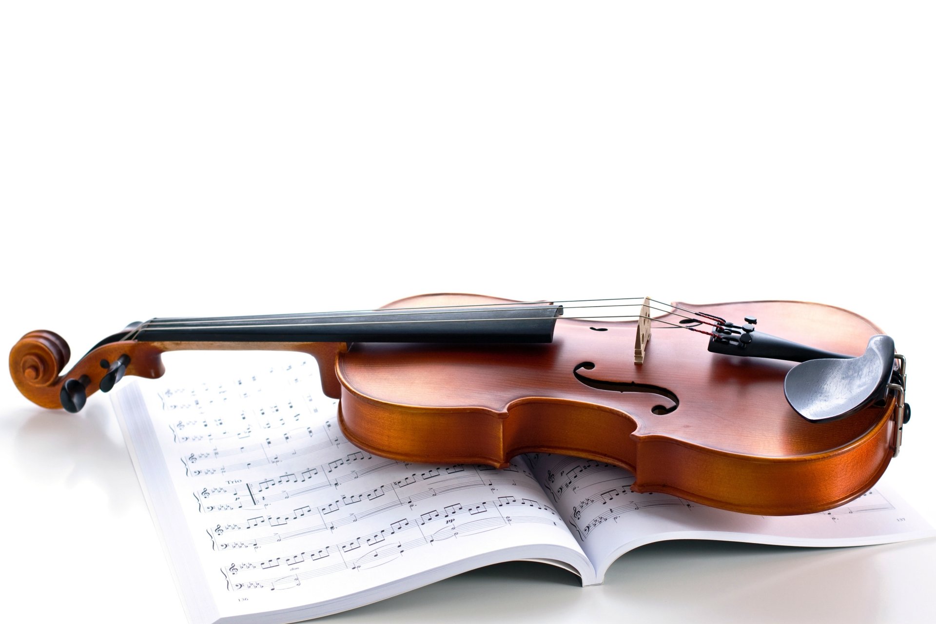 violín cuerdas instrumento musical notas revista fondo blanco