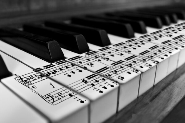 Teclas de piano en blanco y negro con notas pintadas en ellas