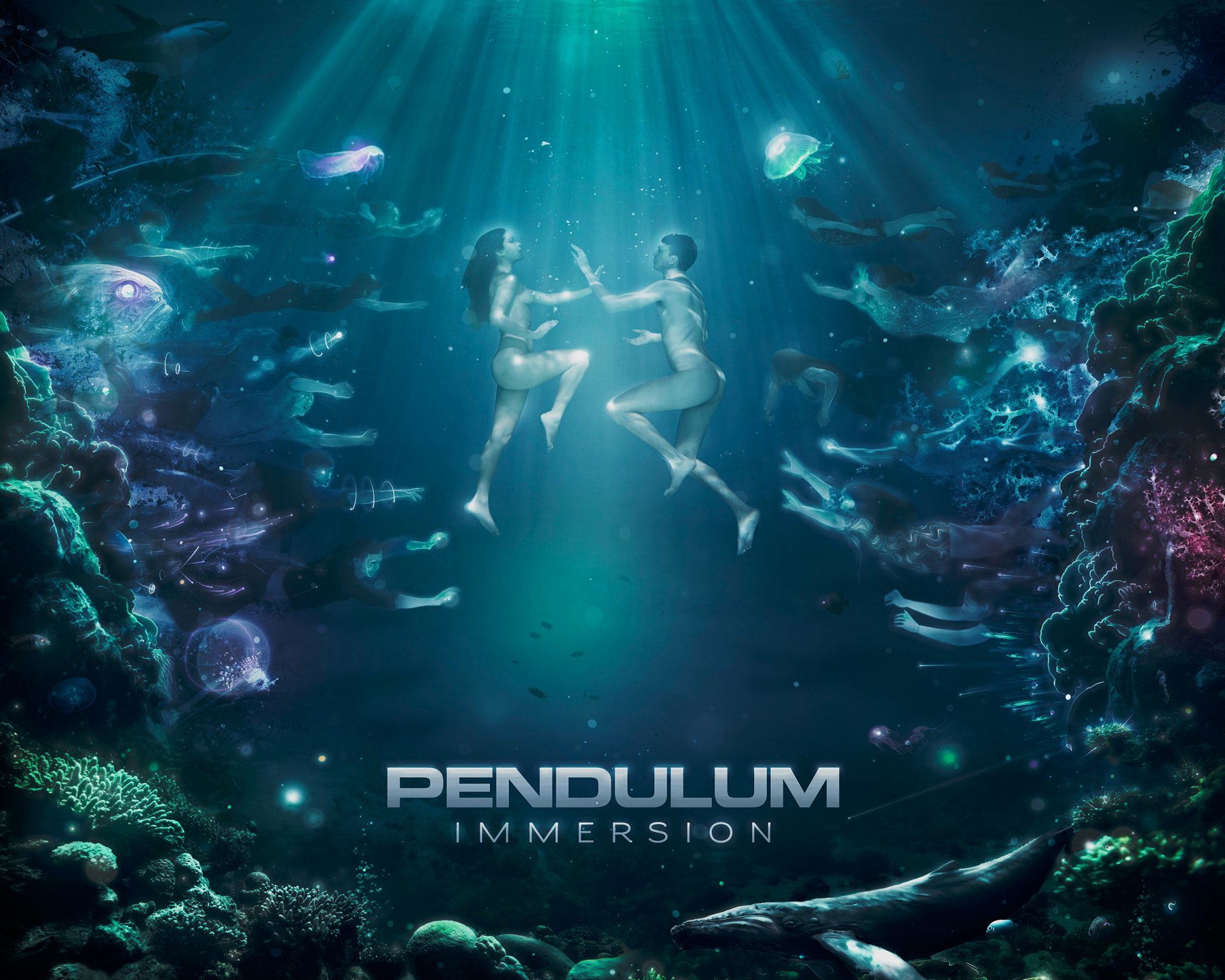 pendulum immersion dnb amd