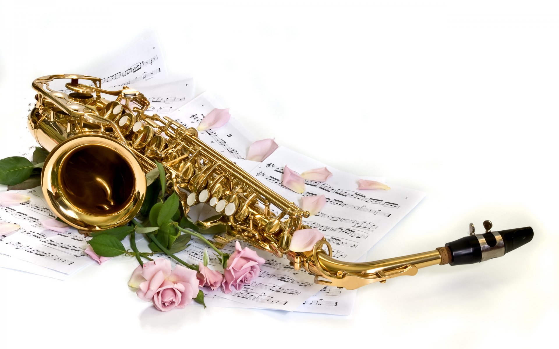 white background saxophone notes roses petals flower