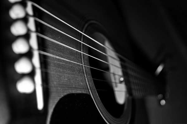 Cordes de guitare sur le boîtier poussiéreux