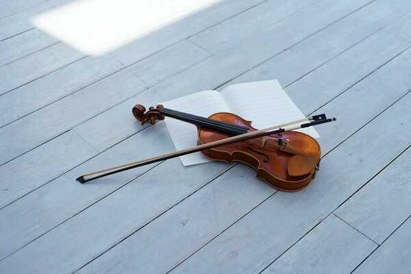 Stringed musical instrument-Violin