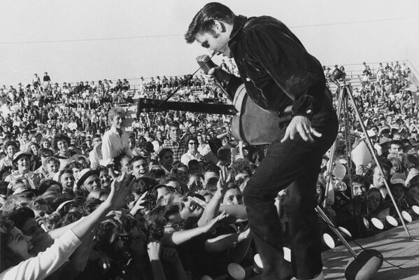 Elvis Presley célèbre chanteur en concert