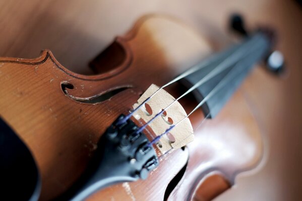 Photo of a violin on the table