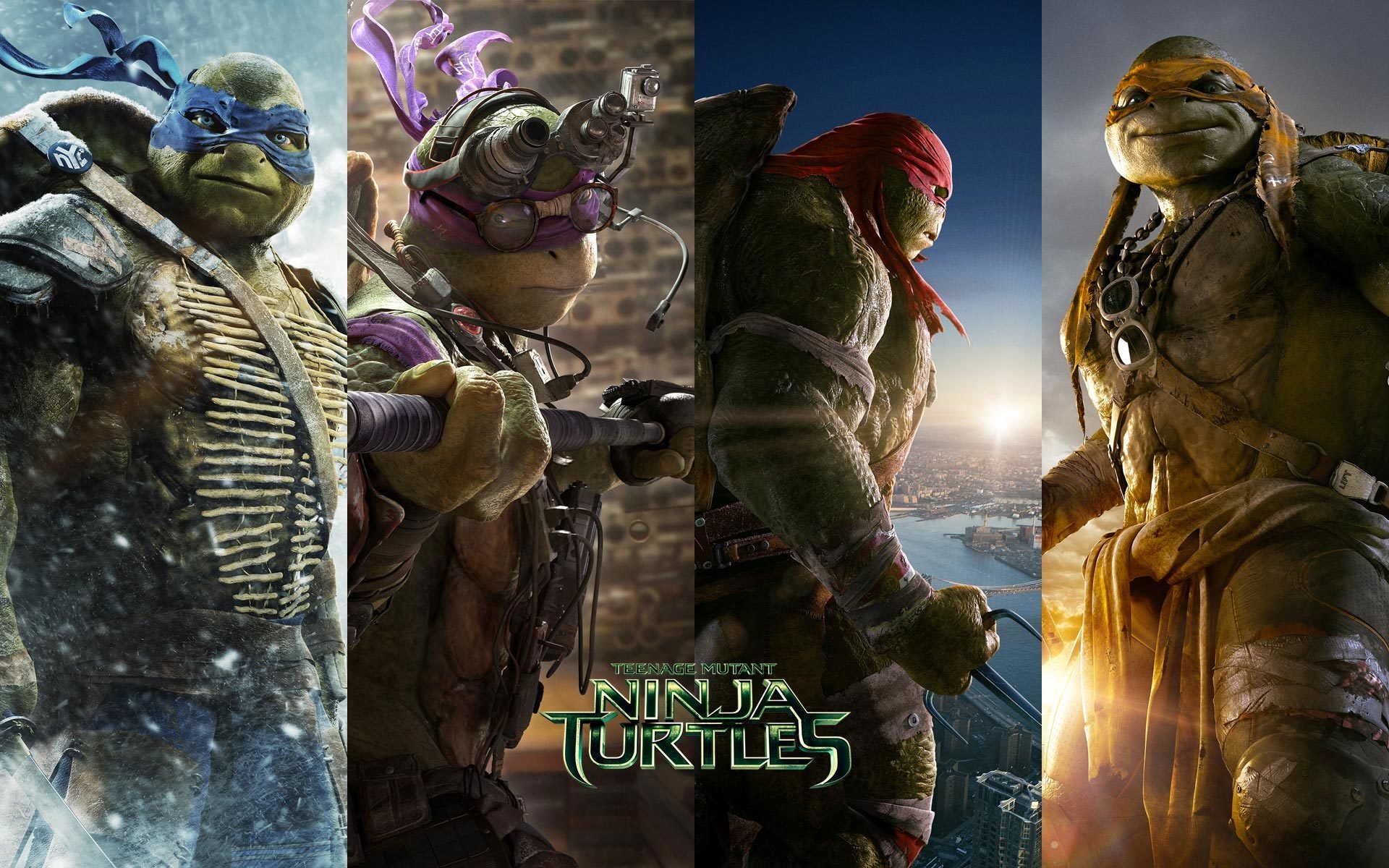 teenage mutant ninja turtles teenage mutant ninja turtles donatello leonardo michel-ange raphael raphael tmnt