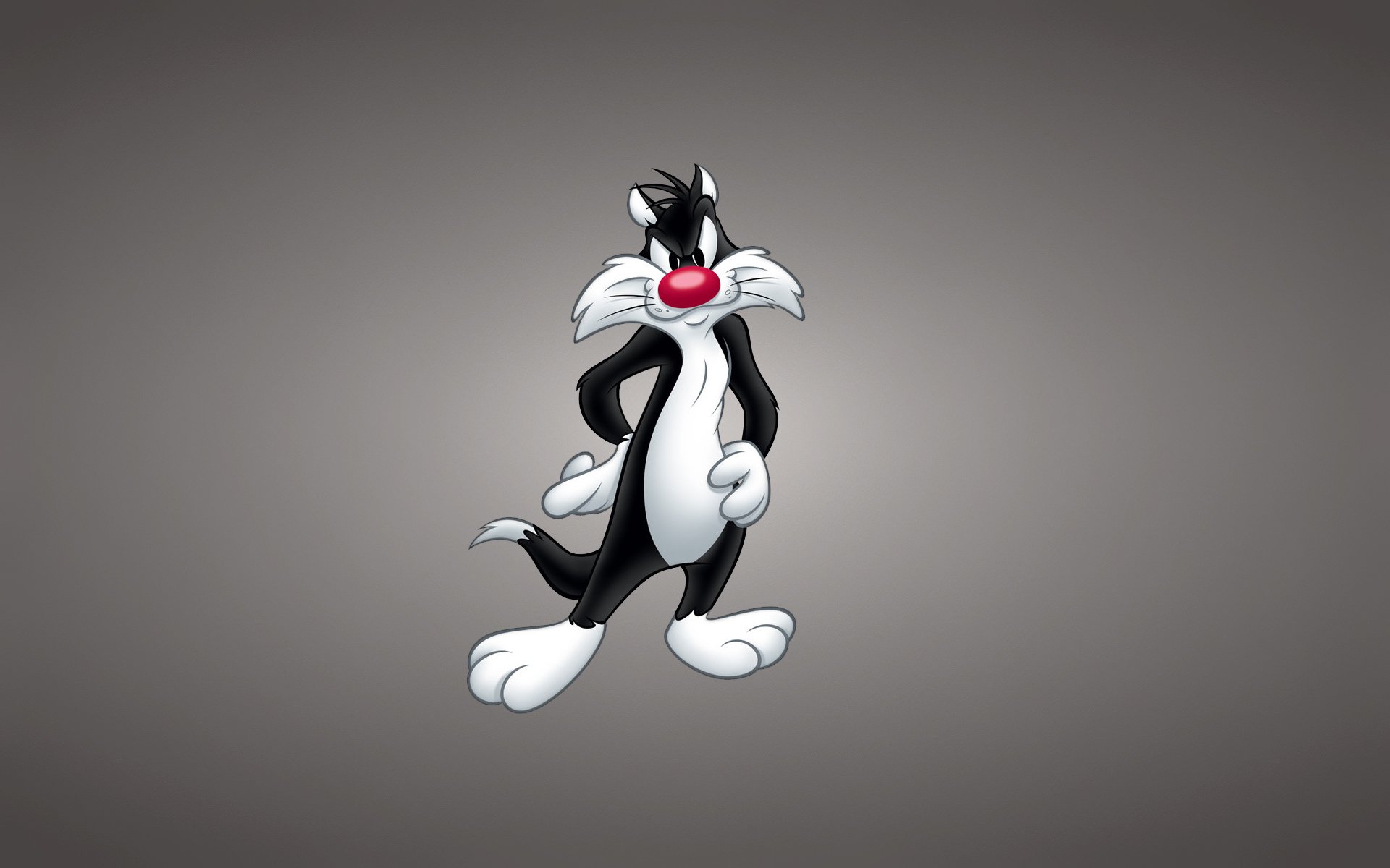 looney tunes looney tunes looney tunes sylvester il gatto sylvester il gatto