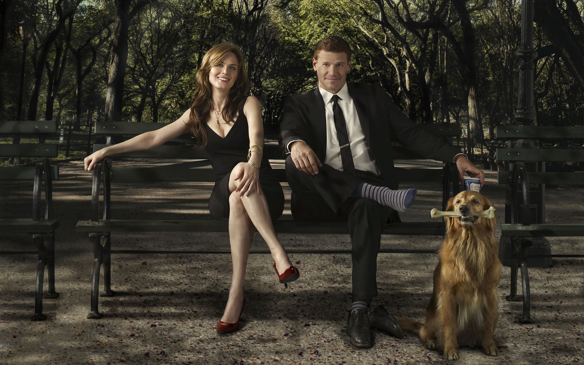 bones television film david boreanaz david patrick boreanaz emily deschanel dog bench park sock