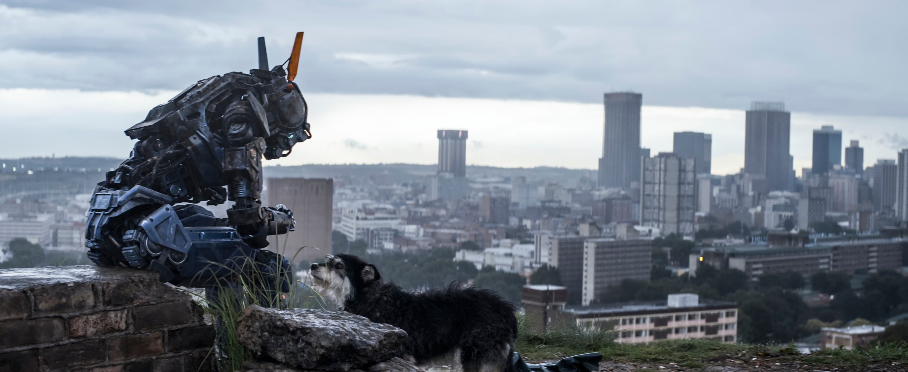 un chico un robot llamado chappy soy un descubrimiento soy increíble soy un chico