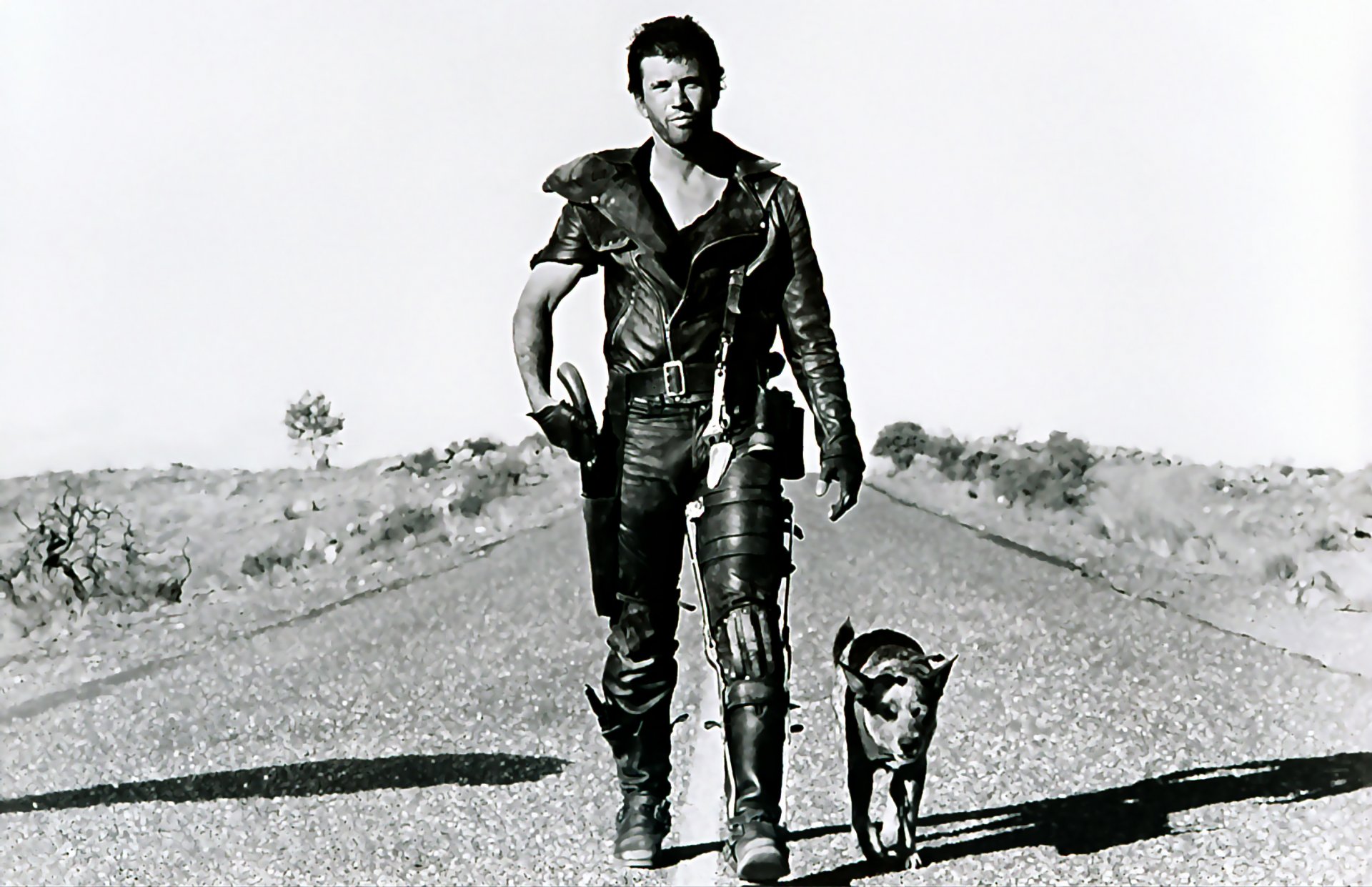 art mad max 2 road warrior mel gibson postapokaliptika dog road