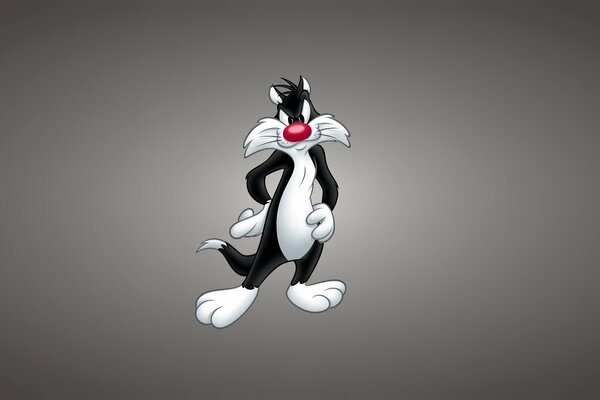 Sylvester the cat with a disgruntled face