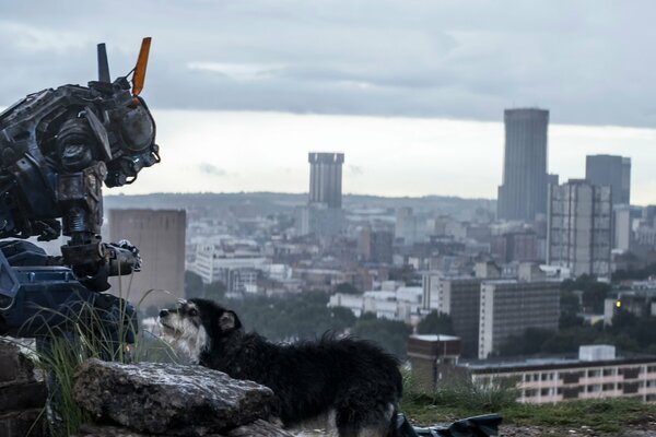 Un robot llamado Chappy con un perro en el fondo de la ciudad