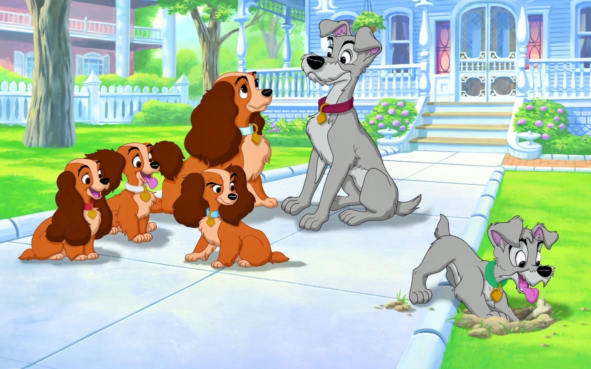 signora e vagabondo cartone animato walt disney studios walt disney casa cani cuccioli osso cocker spaniel americano signora cane randagio vagabondo homer