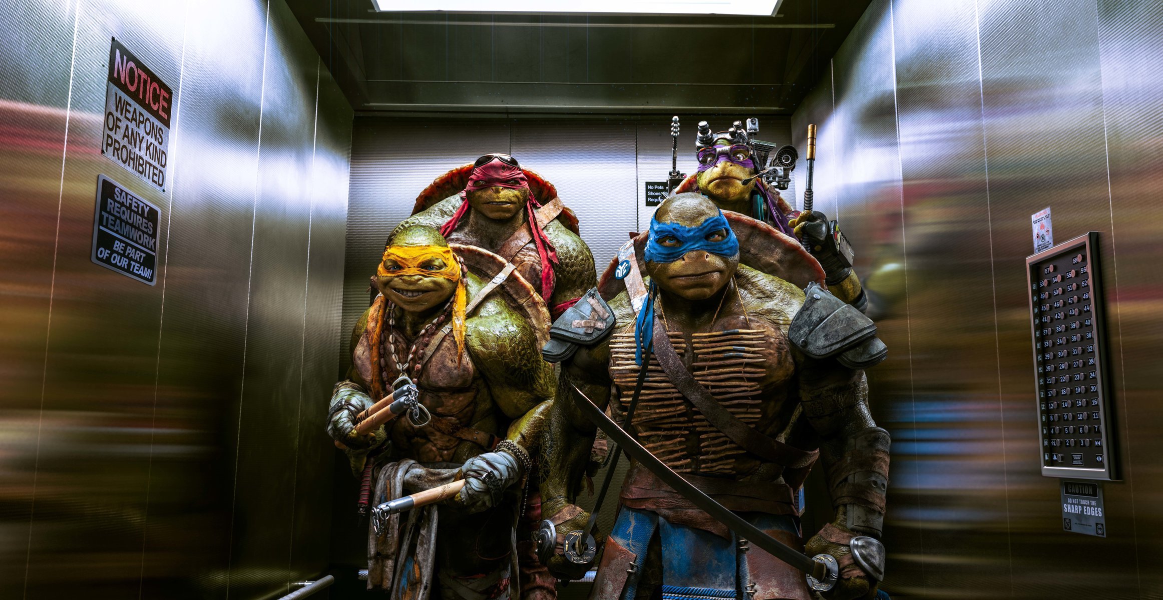 ninja turtles leonardo raphael michelangelo donatello