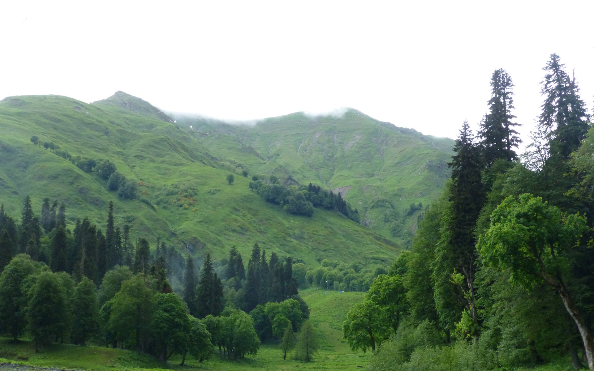 apsny: anima tra le montagne colchide natura colline