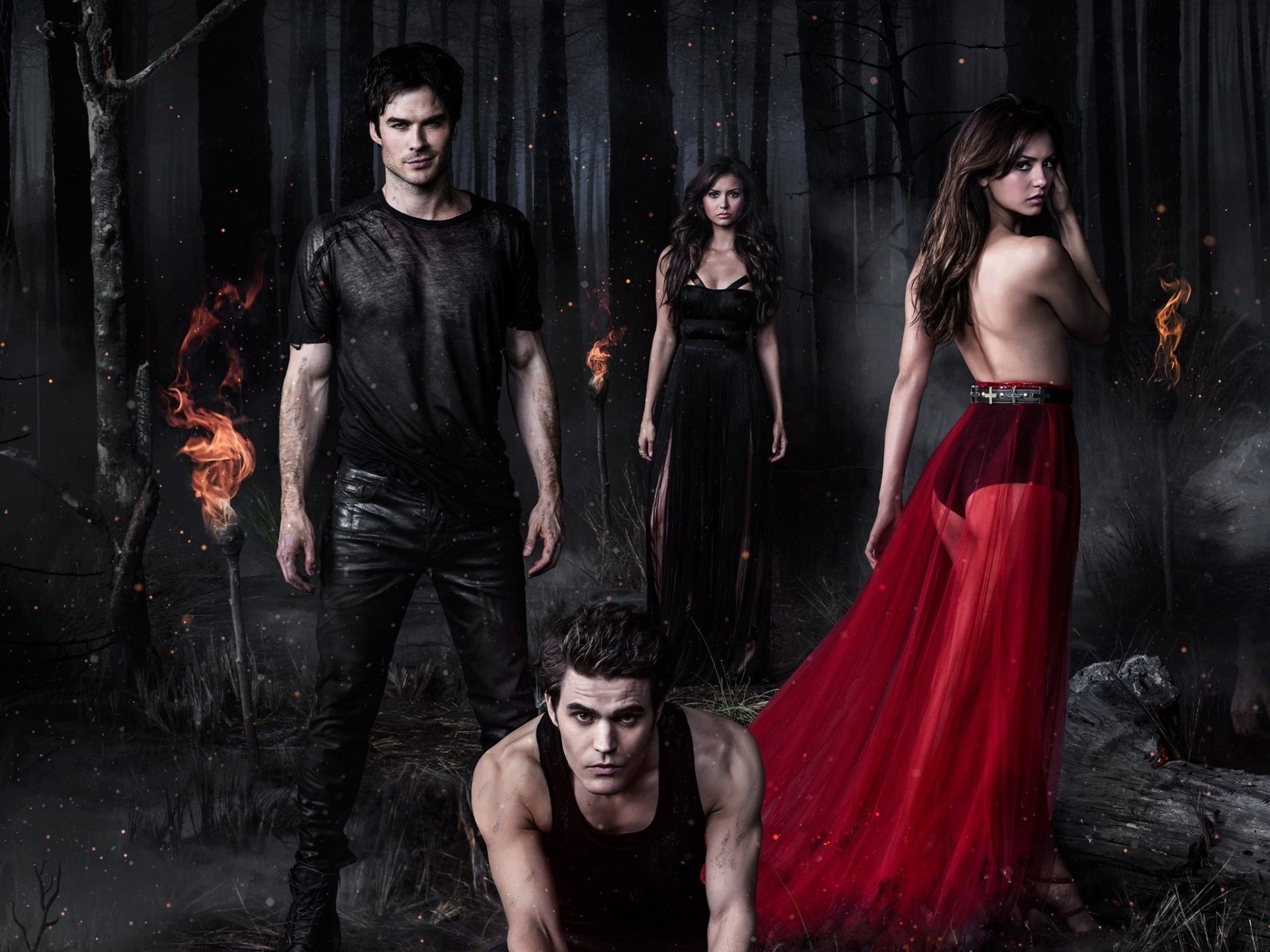 vampirtagebücher nina dobrev elena gilbert paul wesley stefan salvatore