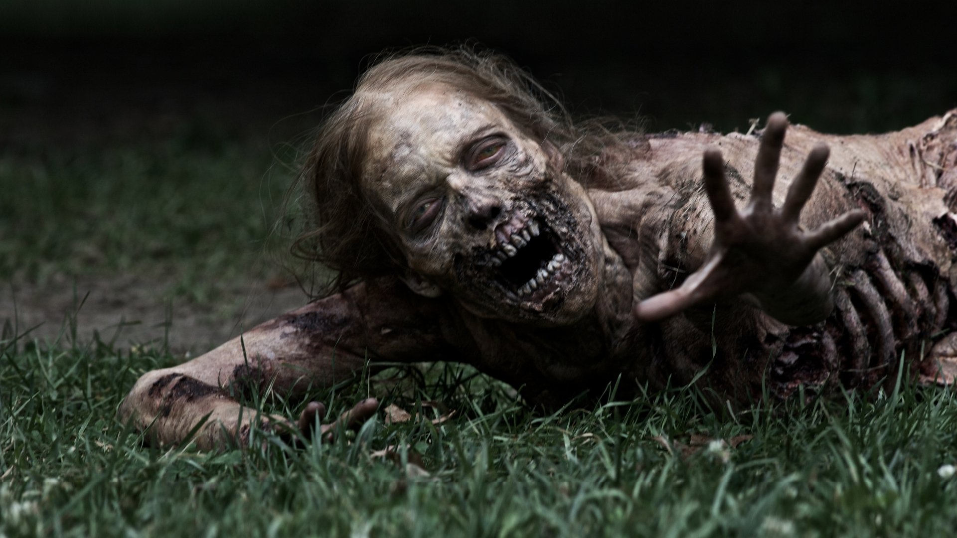 the walking dead the walking dead serie de televisión zombies hierba