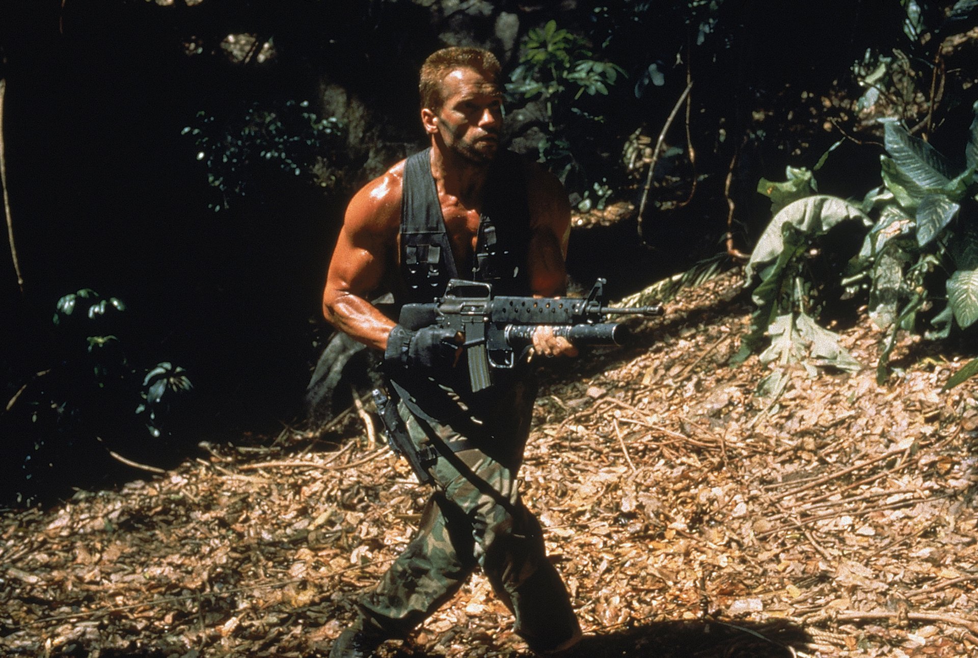 depredador arnold schwarzenegger holandés soldado hombre actor selva