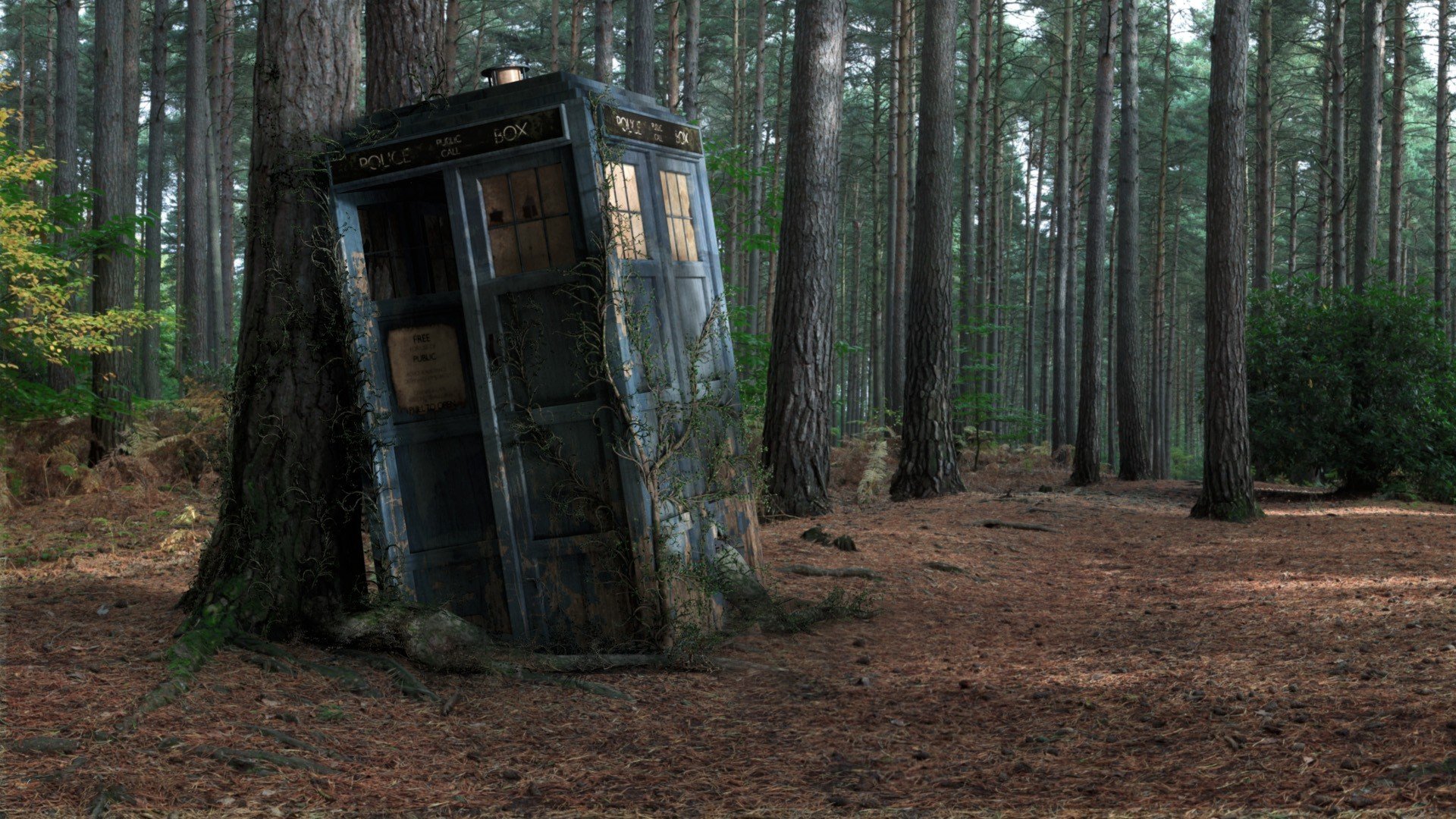 police box forest tree box tardi