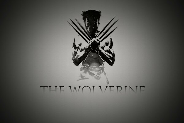 Image of a wolverine on a gray background