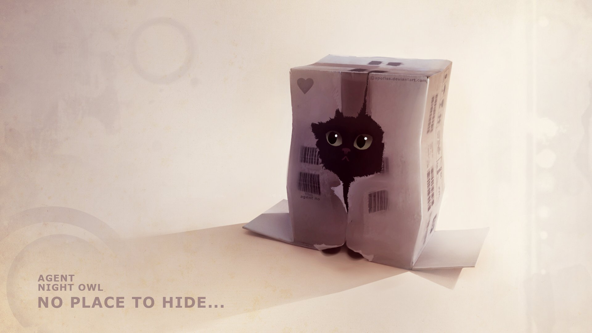 kitten box a hole hides picture agent night owl apofi