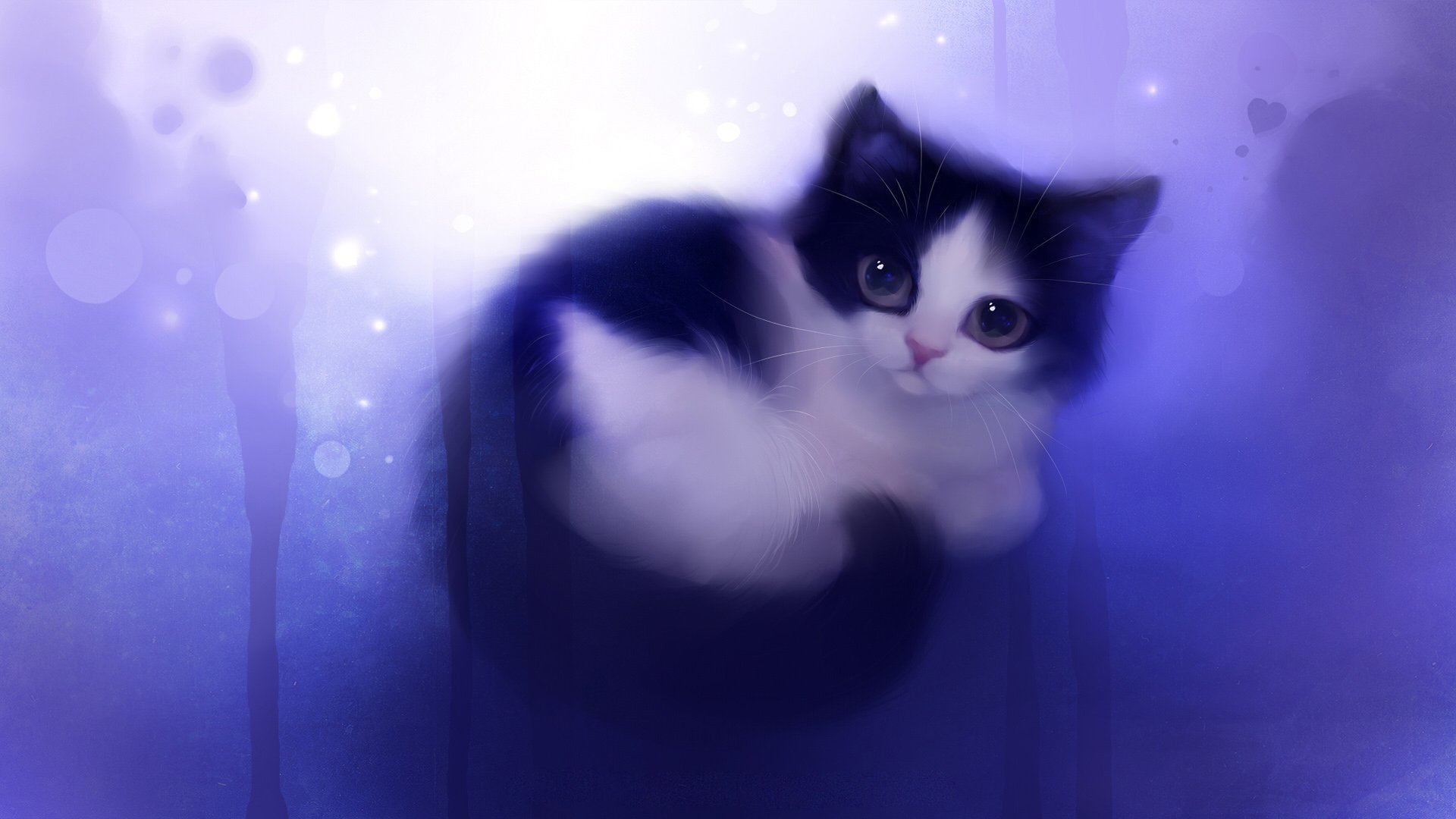 cat kitten view a ball picture wish art apofi