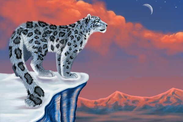 LEOPARDO DE LAS NIEVES A LA LUZ DE LA LUNA